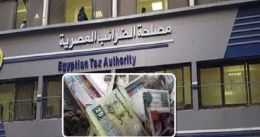 1.6 مليار وثيقة على منظومة الفاتورة الإلكترونية وضبط 17 ألف حالة تهرب
