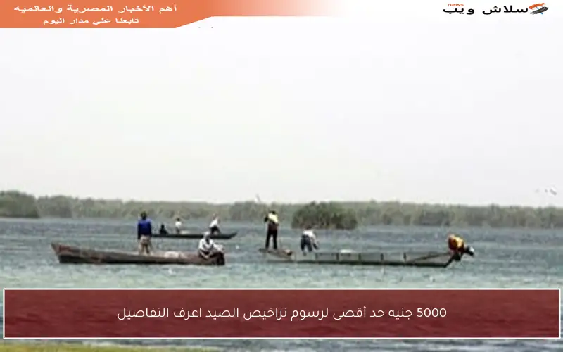 5000 جنيه حد أقصى لرسوم تراخيص الصيد اعرف التفاصيل