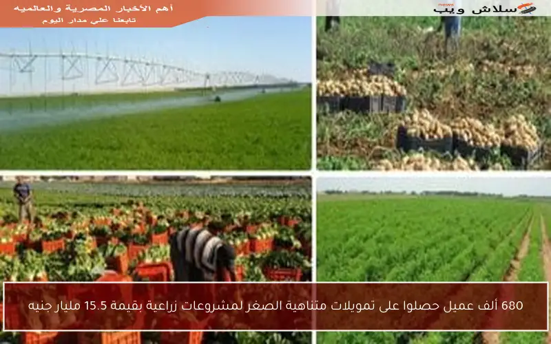 680 ألف عميل حصلوا على تمويلات متناهية الصغر لمشروعات زراعية بقيمة 15.5 مليار جنيه