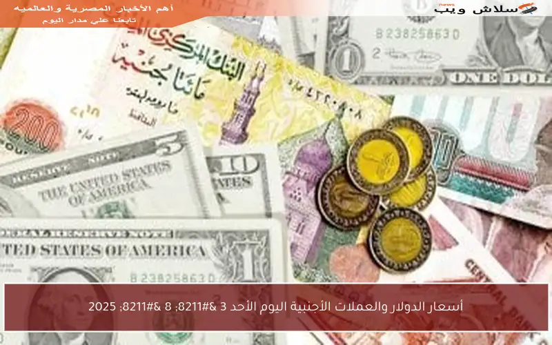 أسعار الدولار والعملات الأجنبية اليوم الأحد 3 – 8 – 2025
