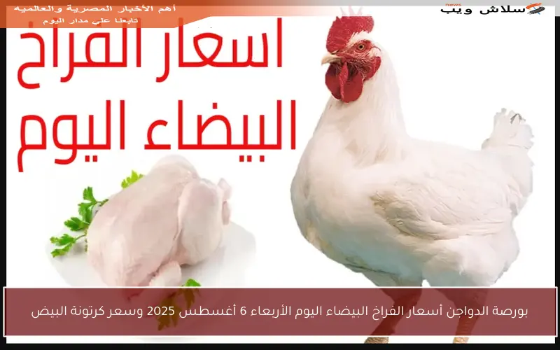 بورصة الدواجن أسعار الفراخ البيضاء اليوم الأربعاء 6 أغسطس 2025 وسعر كرتونة البيض