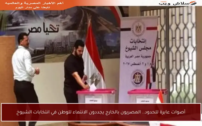 أصوات عابرة للحدود.. المصريون بالخارج يجددون الانتماء للوطن في انتخابات الشيوخ