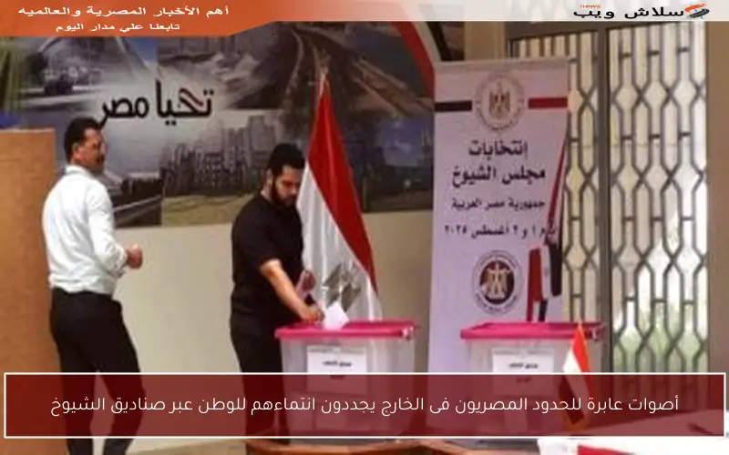 أصوات عابرة للحدود المصريون فى الخارج يجددون انتماءهم للوطن عبر صناديق الشيوخ
