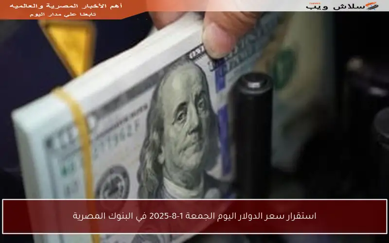 استقرار سعر الدولار اليوم الجمعة 1-8-2025 في البنوك المصرية