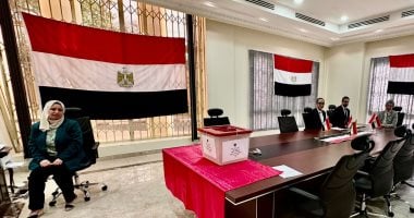 استمرار فتح لجان الاقتراع للمصريين بالخارج فى 24 دولة بأفريقيا وأوروبا