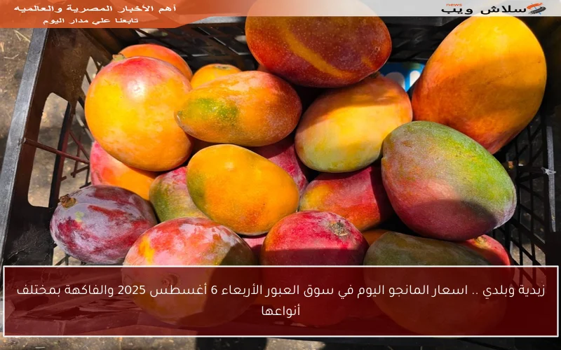 زبدية وبلدي .. اسعار المانجو اليوم في سوق العبور الأربعاء 6 أغسطس 2025 والفاكهة بمختلف أنواعها