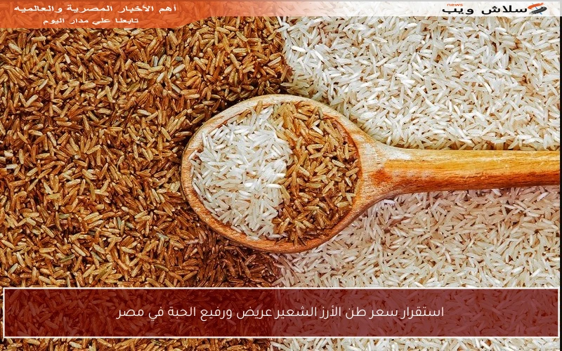 استقرار سعر طن الأرز الشعير عريض ورفيع الحبة في مصر