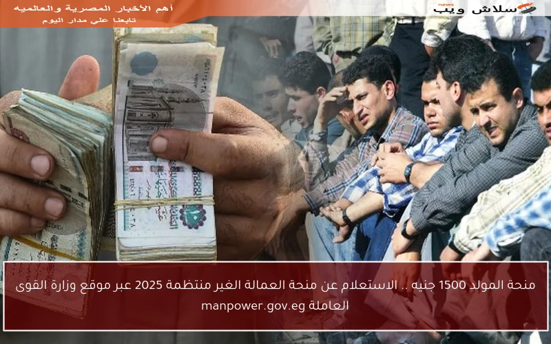 منحة المولد 1500 جنيه .. الاستعلام عن منحة العمالة الغير منتظمة 2025 عبر موقع وزارة القوى العاملة manpower.gov.eg