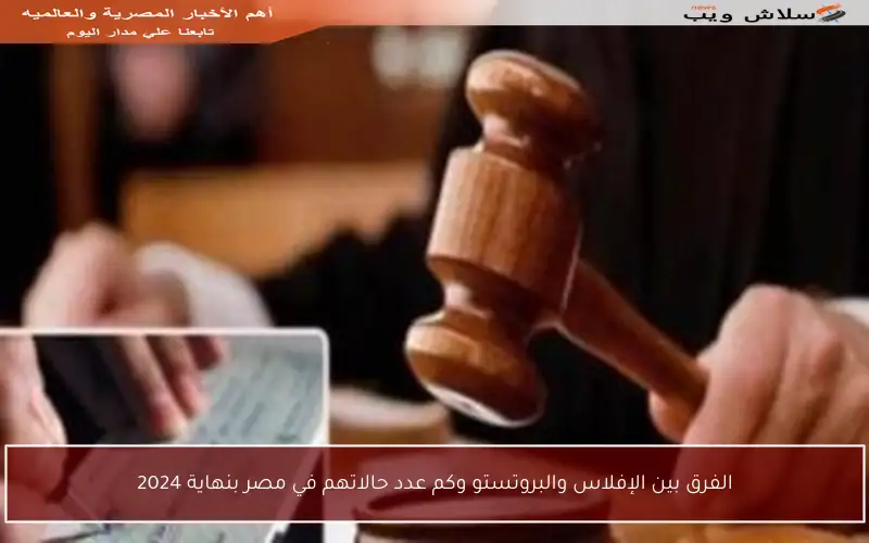 الفرق بين الإفلاس والبروتستو وكم عدد حالاتهم في مصر بنهاية 2024