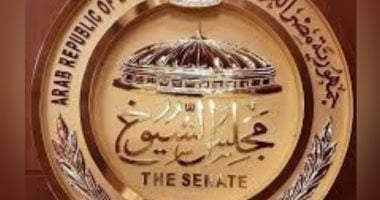 القطاع الخاص يقود الاستثمار بـ62.7% والدولة تظل السند الاستراتيجي بـ37.3%