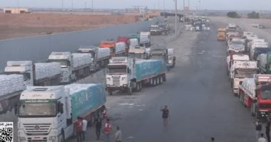 اللجنة المصرية في غزة: مصر توزع 100 ألف سلة غذائية على سكان القطاع