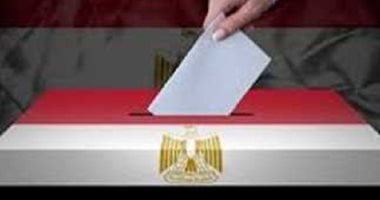 المصرية لحقوق الإنسان: لم نسجل أي تجاوز يؤثر على نزاهة جولة الإعادة في انتخابات الشيوخ