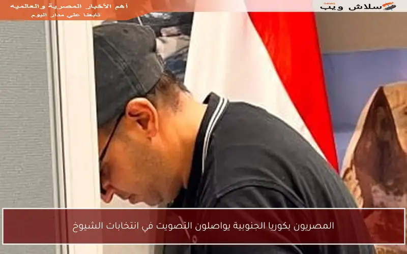 المصريون بكوريا الجنوبية يواصلون التصويت في انتخابات الشيوخ