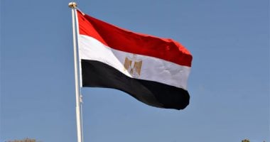 المصريون في النمسا يتظاهرون تأييدًا للقيادة السياسية وتضامنًا مع الشعب الفلسطيني