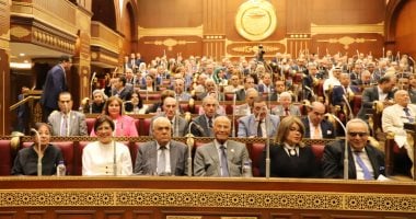النائب أحمد سمير: العلاقات المصرية السعودية صمام أمان الأمة والمنطقة