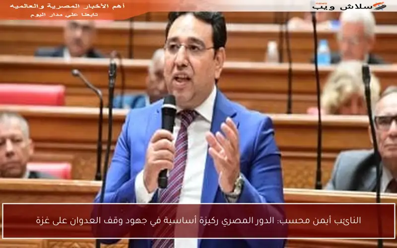 النائب أيمن محسب: الدور المصري ركيزة أساسية في جهود وقف العدوان على غزة