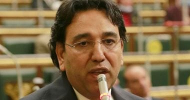 النائب أيمن محسب: مصر لن تتخلى عن مساعى وقف إطلاق النار في غزة رغم تعنت إسرائيل