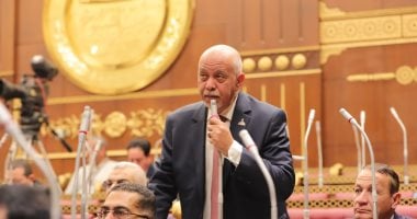 النائب حازم الجندى: قمة السيسى وبن سلمان تعكس وحدة الموقف المصرى السعودى
