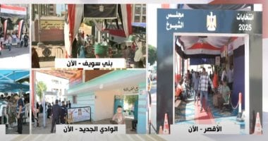 الوطنية للانتخابات: انتظام العمل في 1367 لجنة فرعية بجولة إعادة الشيوخ
