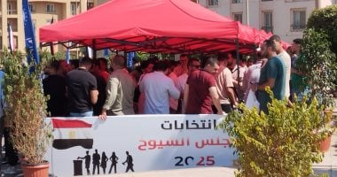 بدء الصمت الدعائي لجولة الإعادة في انتخابات مجلس الشيوخ 2025 غدا