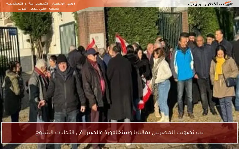 بدء تصويت المصريين بماليزيا وسنغافورة والصين فى انتخابات الشيوخ