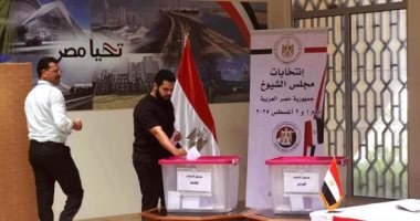بدء تصويت المصريين في فرنسا بجولة الإعادة بانتخابات مجلس الشيوخ