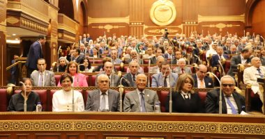 برلمانى: زيارة الرئيس السيسي للسعودية تجسيد للعلاقات التاريخية بين البلدين