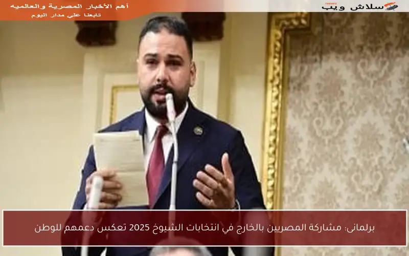 برلمانى: مشاركة المصريين بالخارج في انتخابات الشيوخ 2025 تعكس دعمهم للوطن