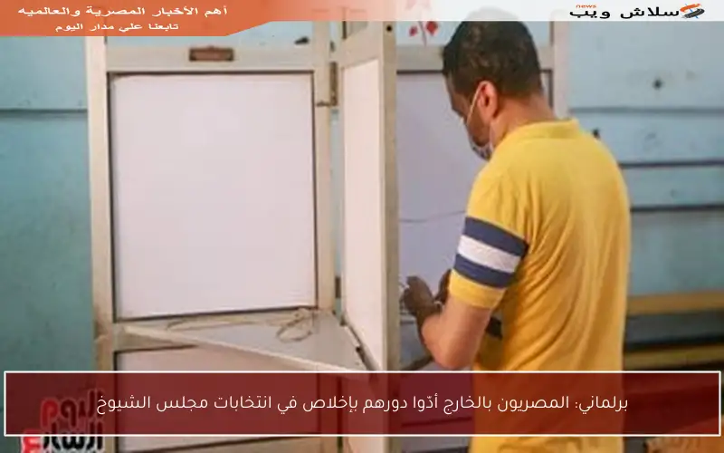 برلماني: المصريون بالخارج أدّوا دورهم بإخلاص في انتخابات مجلس الشيوخ