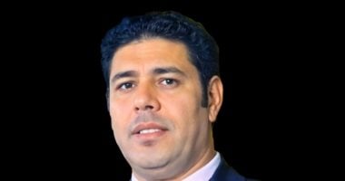 برلماني: قضية ميدو تبرز اهتمام الدولة بحماية حقوق أبنائها بالخارج