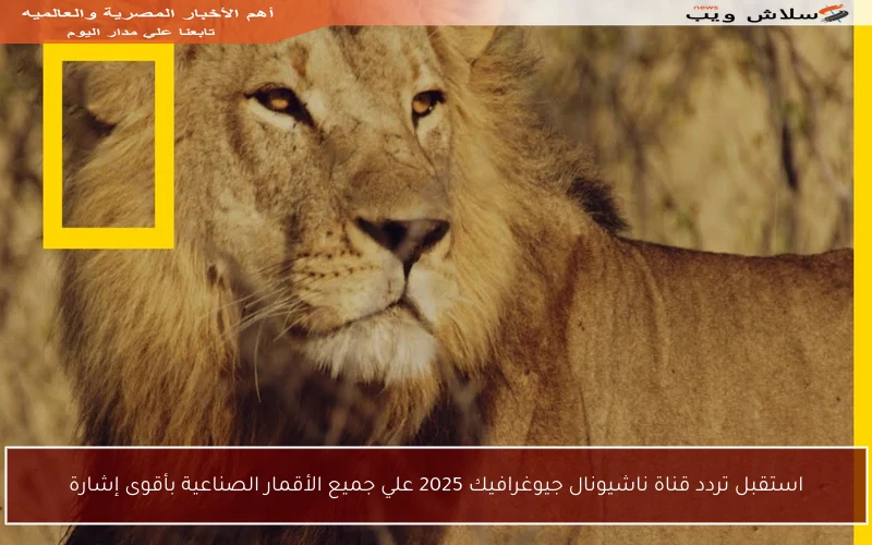 استقبل تردد قناة ناشيونال جيوغرافيك 2025 علي جميع الأقمار الصناعية بأقوى إشارة