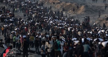 خبير دولى: إسرائيل تستخدم حماس ذريعة لاستمرار عملياتها العسكرية في غزة