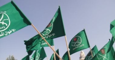 خبير علاقات دولية: الإخوان يستخدمون الإعلام الخارجي للنيل من استقرار مصر