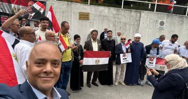 رافعين الأعلام.. الجالية المصرية بالنمسا تنظم وقفة لدعم مصر وقيادتها