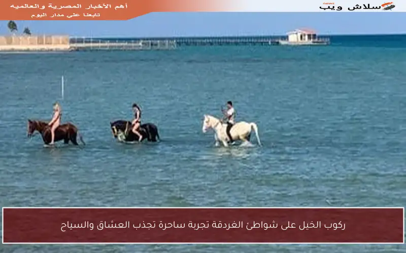 ركوب الخيل على شواطئ الغردقة تجربة ساحرة تجذب العشاق والسياح
