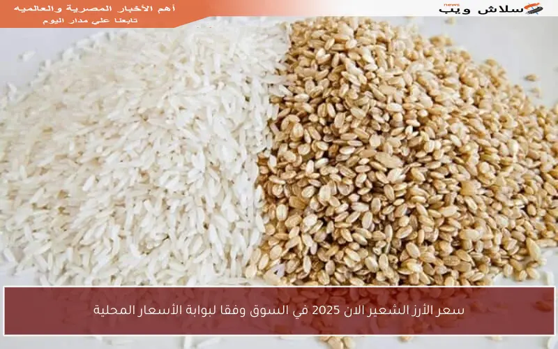 سعر الأرز الشعير الان 2025 في السوق وفقا لبوابة الأسعار المحلية