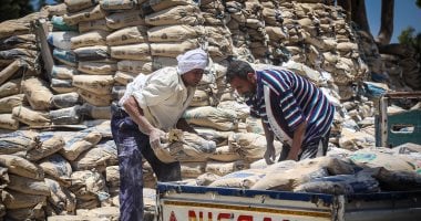 سعر الأسمنت اليوم الخميس 21 – 8-2025 اعرف سعر الطن