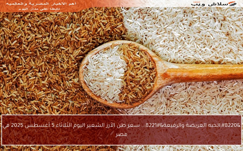 “الحبه العريضة والرفيعة”.. سعر طن الأرز الشعير اليوم الثلاثاء 5 أغسطس 2025 في مصر