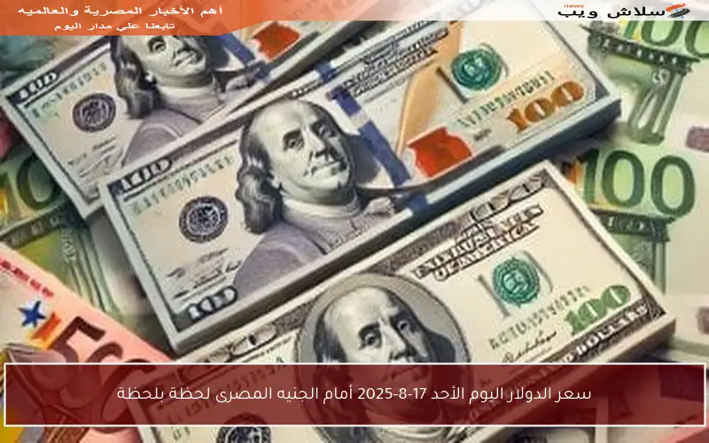 سعر الدولار اليوم الأحد 17-8-2025 أمام الجنيه المصرى لحظة بلحظة