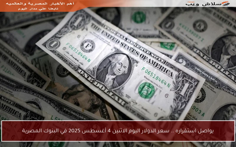 يواصل استقراره .. سعر الدولار اليوم الاثنين 4 أغسطس 2025 في البنوك المصرية