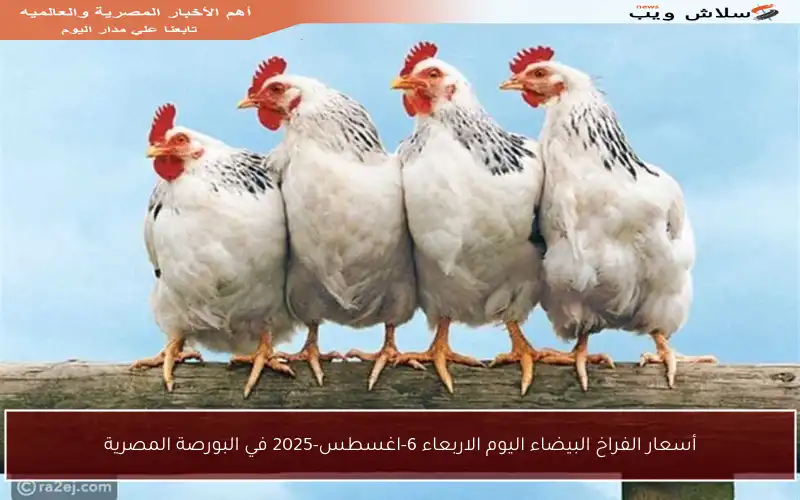 أسعار الفراخ البيضاء اليوم الاربعاء 6-اغسطس-2025 في البورصة المصرية