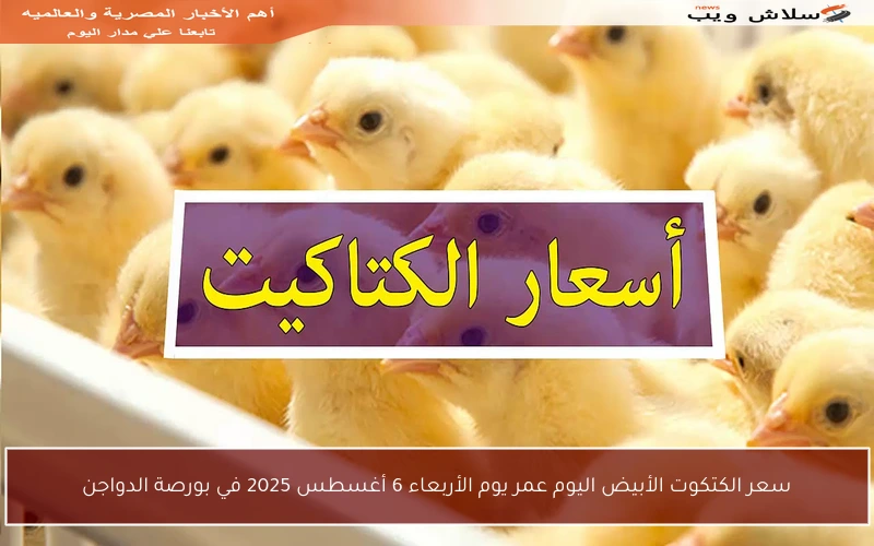 سعر الكتكوت الأبيض اليوم عمر يوم الأربعاء 6 أغسطس 2025 في بورصة الدواجن
