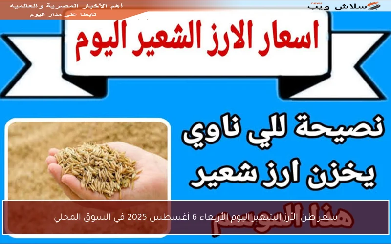 سعر طن الأرز الشعير اليوم الأربعاء 6 أغسطس 2025 في السوق المحلي