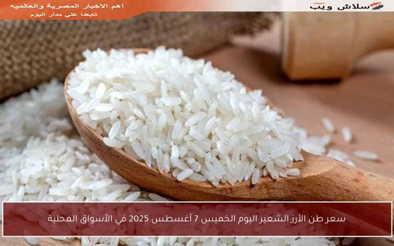 سعر طن الأرز الشعير اليوم الخميس 7 أغسطس 2025 في الأسواق المحلية