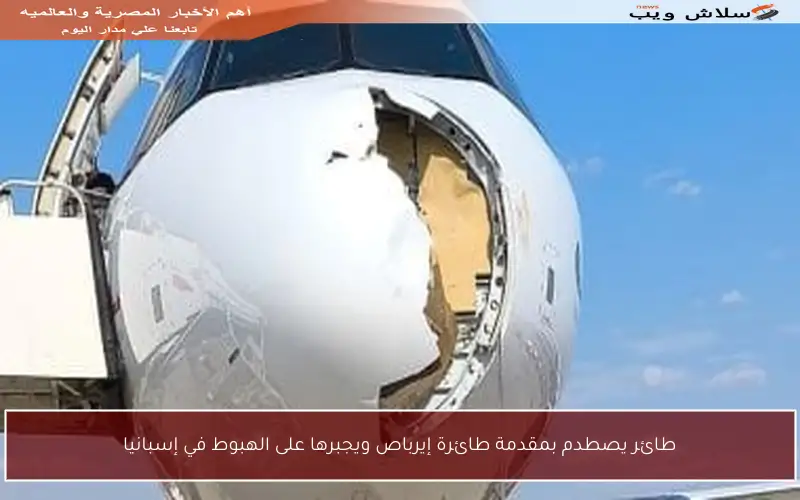 طائر يصطدم بمقدمة طائرة إيرباص ويجبرها على الهبوط في إسبانيا