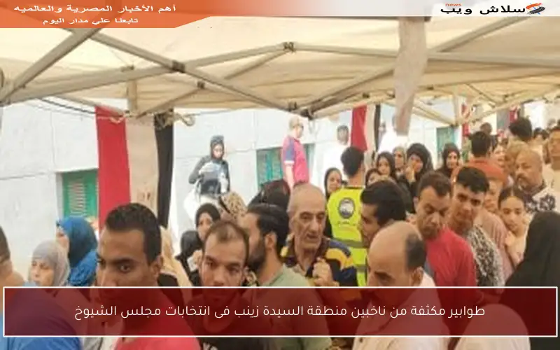 طوابير مكثفة من ناخبين منطقة السيدة زينب فى انتخابات مجلس الشيوخ
