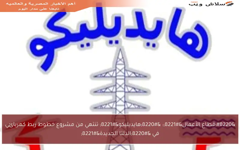 “قطاع الأعمال”: “هايديليكو” تنتهي من مشروع خطوط ربط كهربائي في “الدلتا الجديدة”