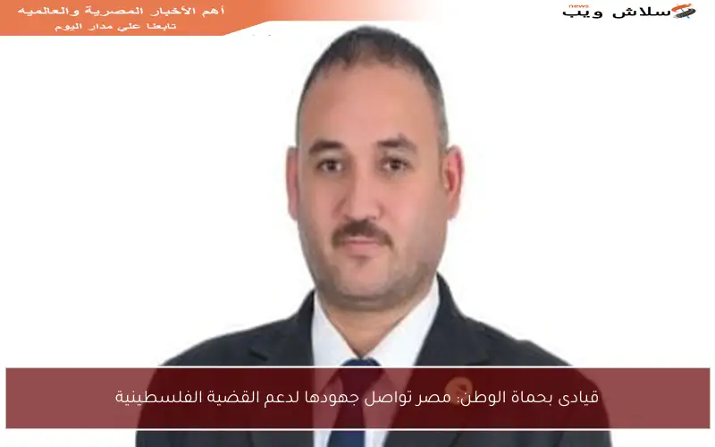 قيادى بحماة الوطن: مصر تواصل جهودها لدعم القضية الفلسطينية