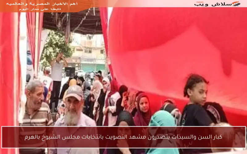 كبار السن والسيدات يتصدرون مشهد التصويت بانتخابات مجلس الشيوخ بالهرم