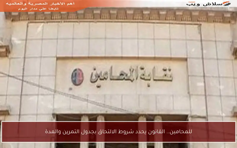 للمحامين.. القانون يحدد شروط الالتحاق بجدول التمرين والمدة